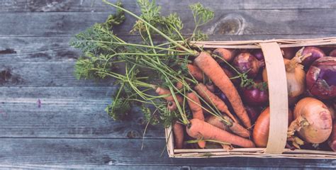 national naked garden day|World Naked Gardening Day (May 3rd, 2025) 